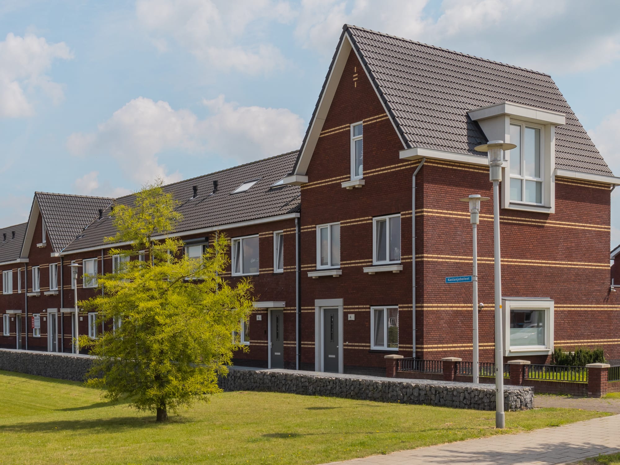 Kastanjeboleet Apeldoorn 1