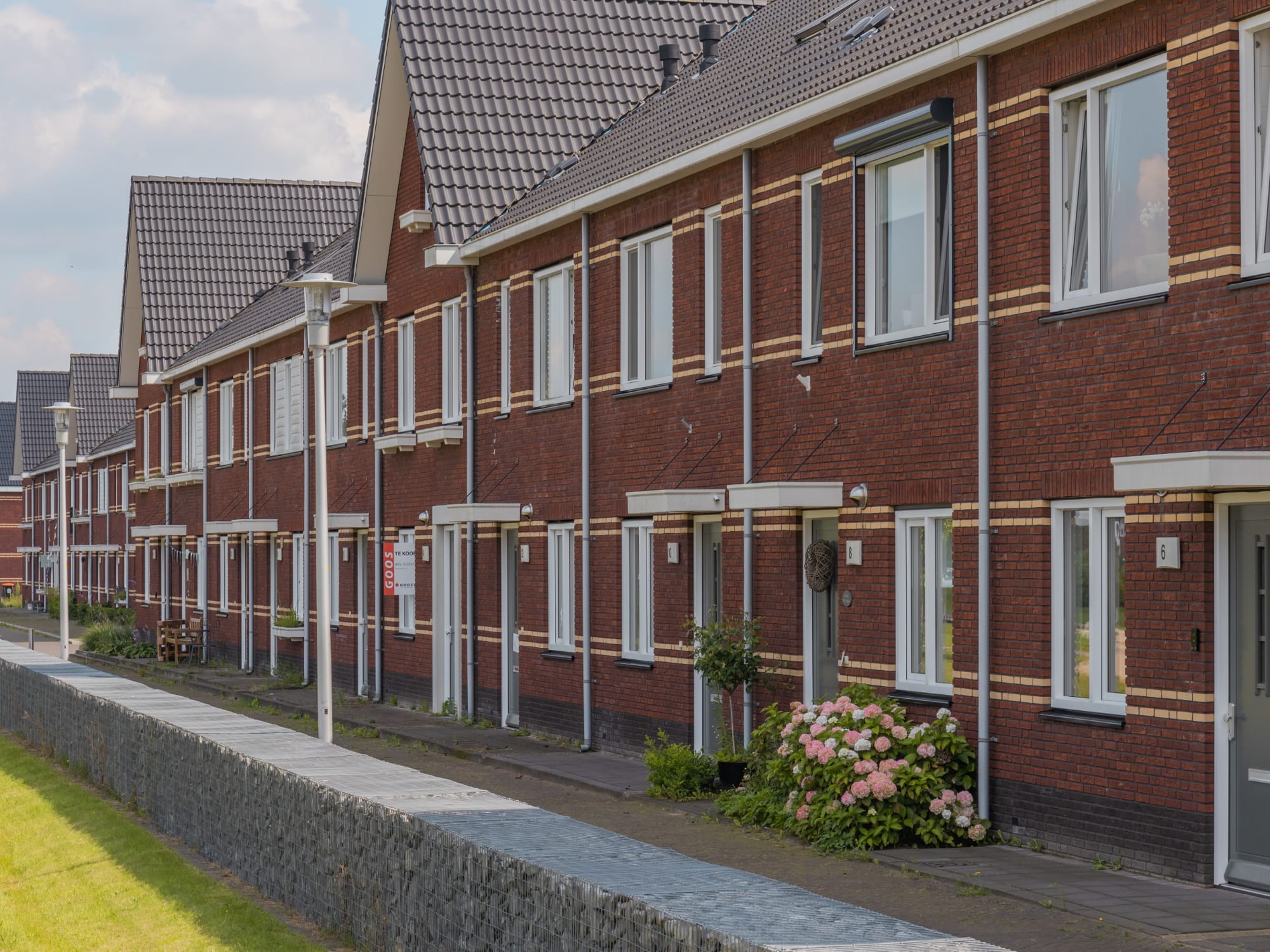 Kastanjeboleet Apeldoorn 2